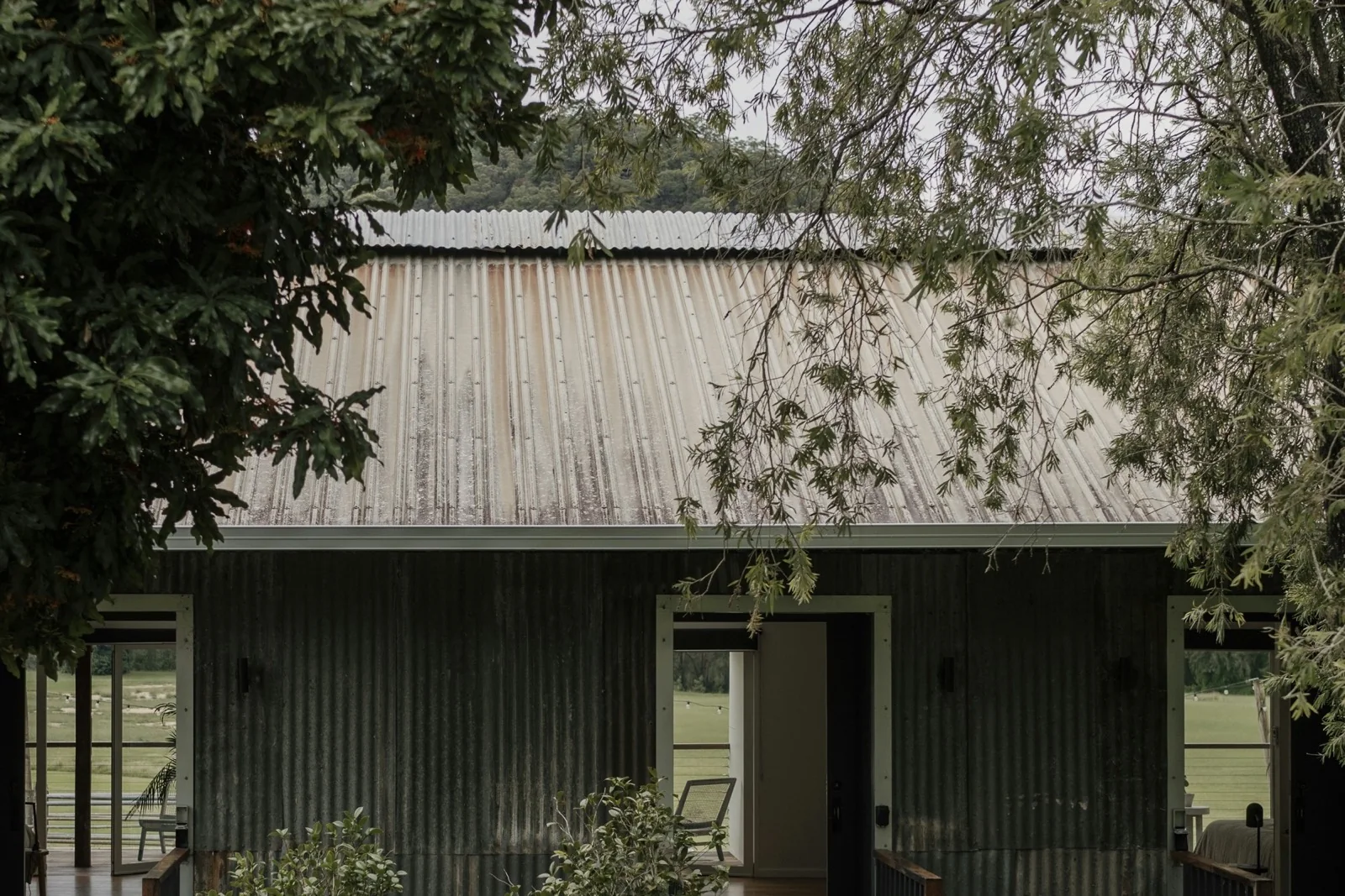 Corrugated metal roof and eave edge framed by trees